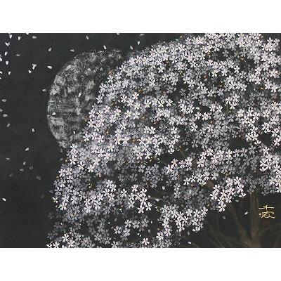 夜桜爛漫　10P