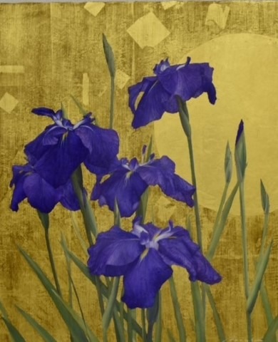 菖蒲図　陽光  8F