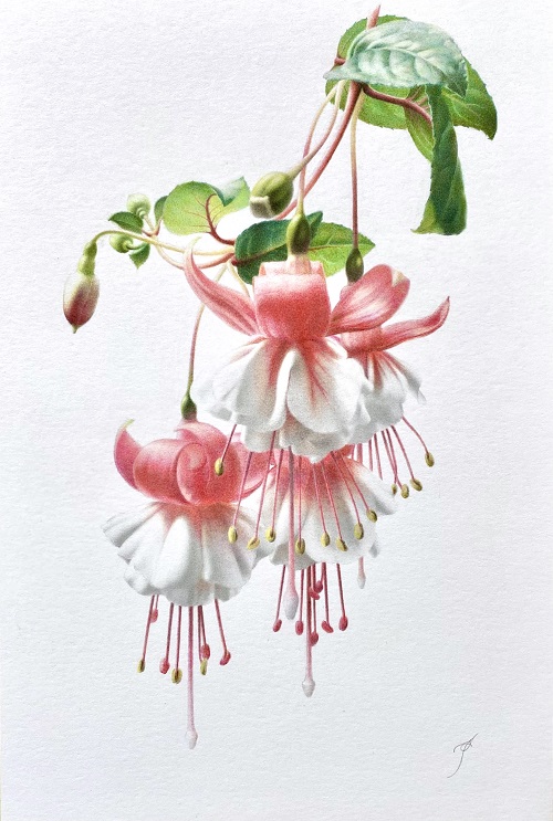 飴本崇久「Fuchsia」23.5×12.7㎝