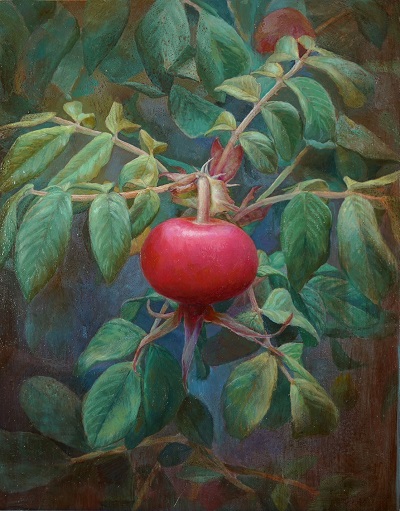 松永瑠利子「Red Fruit 」 3F