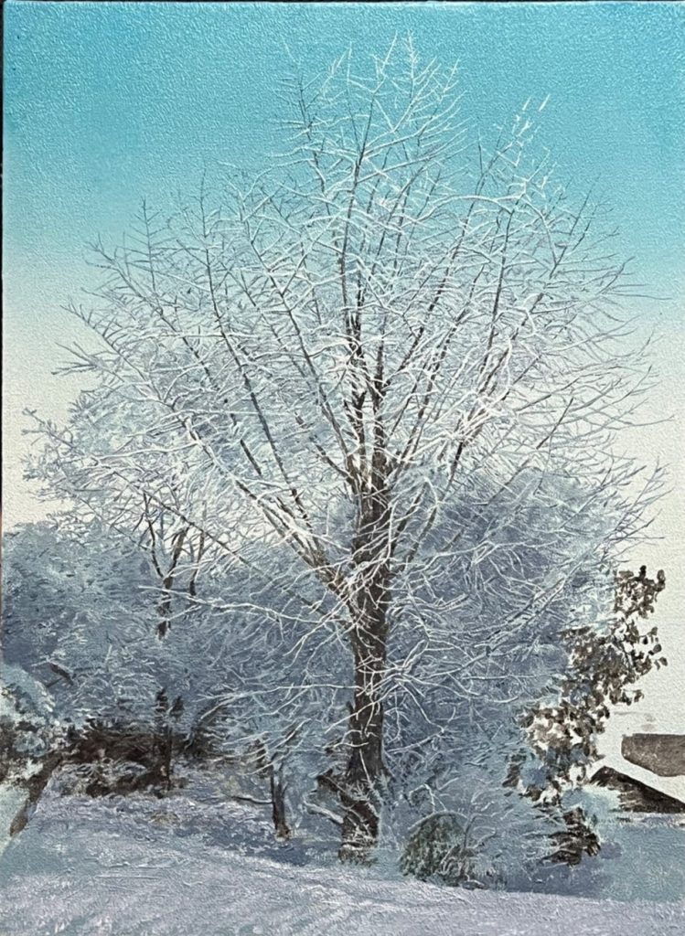 大畑稔浩 気配–雪の銀杏 8P