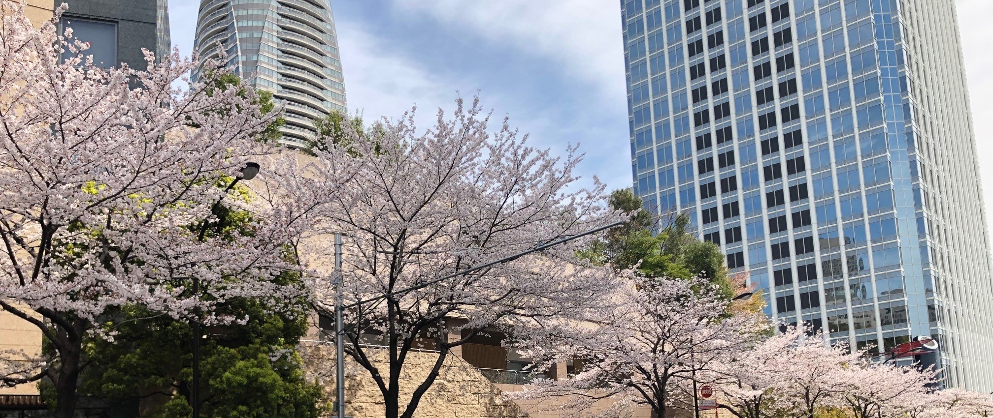 東京 港区の画廊 | 東邦アート株式会社